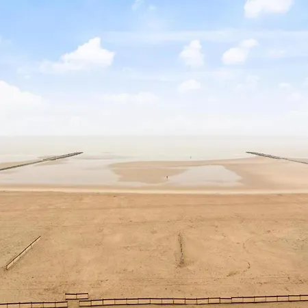 In Near The Marina *