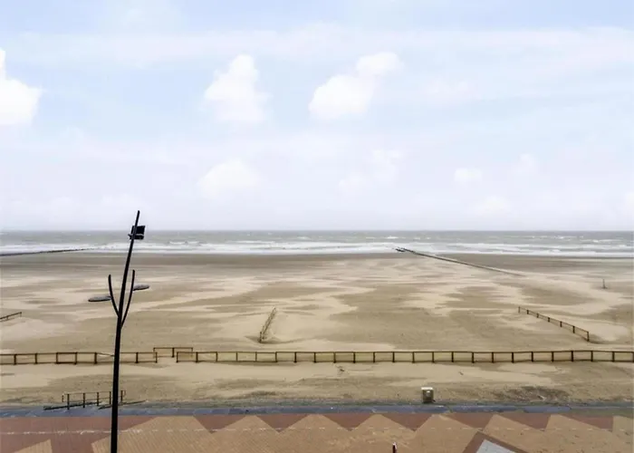 In Near The Marina Blankenberge