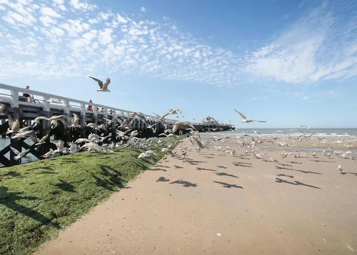 In Near The Marina 아파트 *