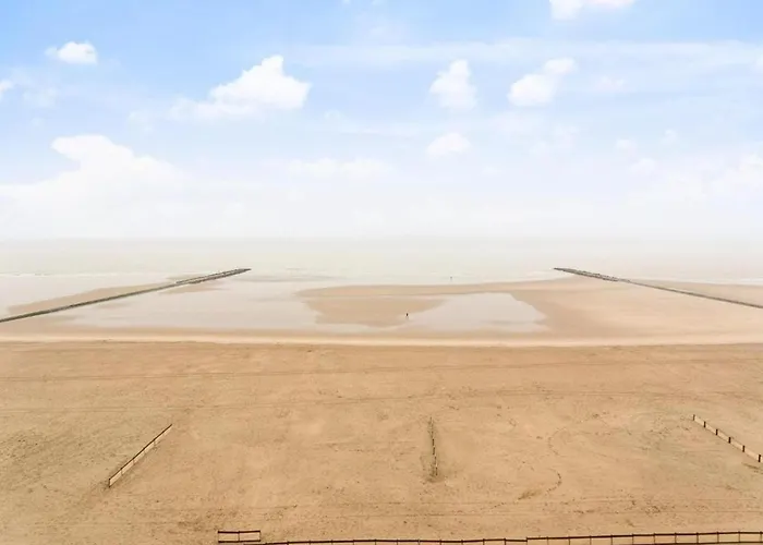 In Near The Marina *