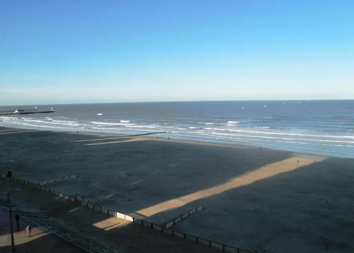 In Near The Marina Blankenberge