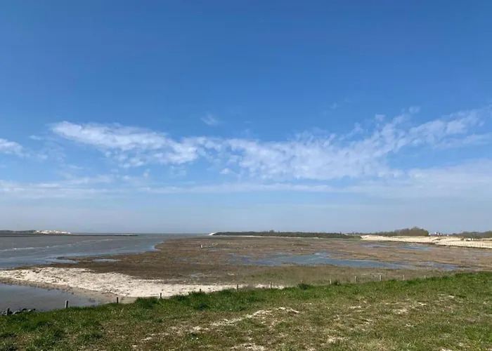 In Near The Marina *